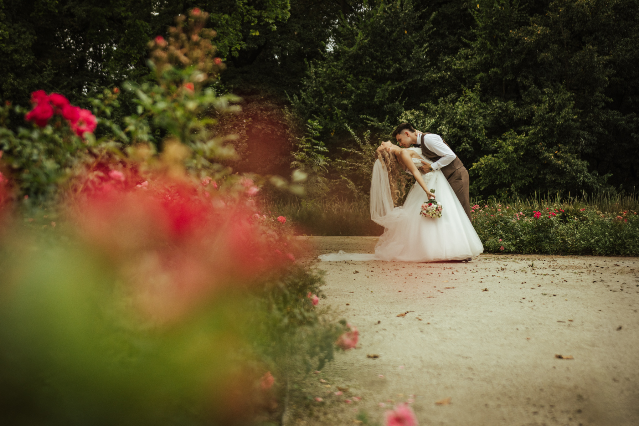 Namiętny pocałunek Pary Młodej na parkowych alejkach Zamku Moszna w 2025 roku z różami na pierwszym planie